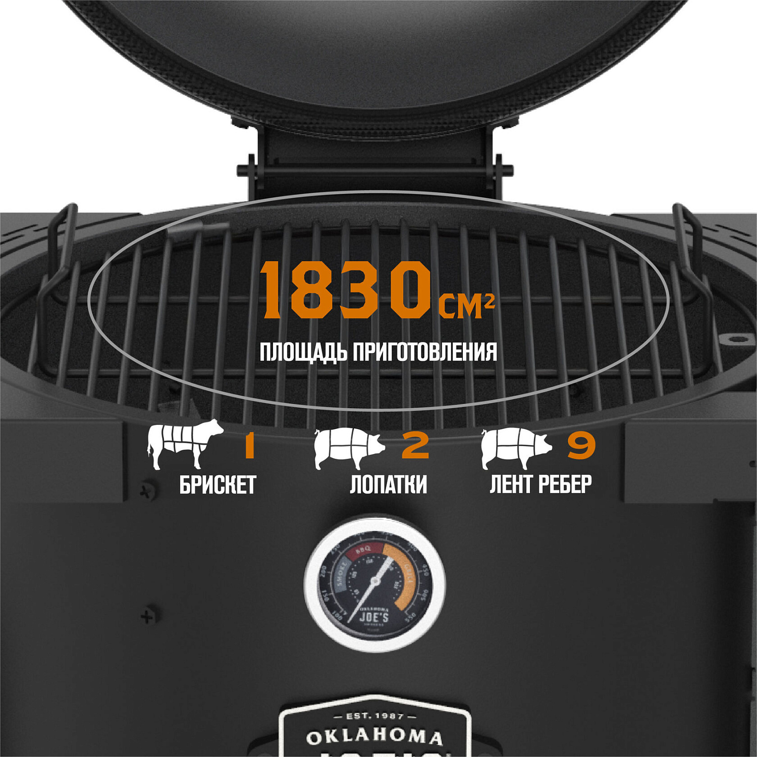 На склад пришла партия долгожданных BRONCO!